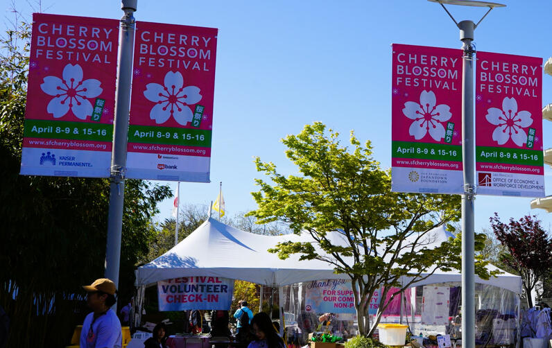 Cherry Blossom Fest Signs